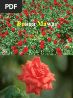 Download Bunga Mawar  Lagu  by Aff Ahmad SN41512782 doc pdf