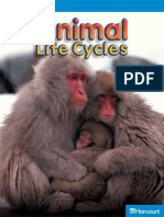 Animal Life Cycles