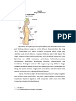 Bab 1 Tinjauan Pustaka 1.1 Konsep Dasar Laparatomy 1.1.1 Definisi Laparatomy