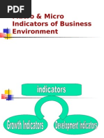Macro & Micro Indicators of Business Environment