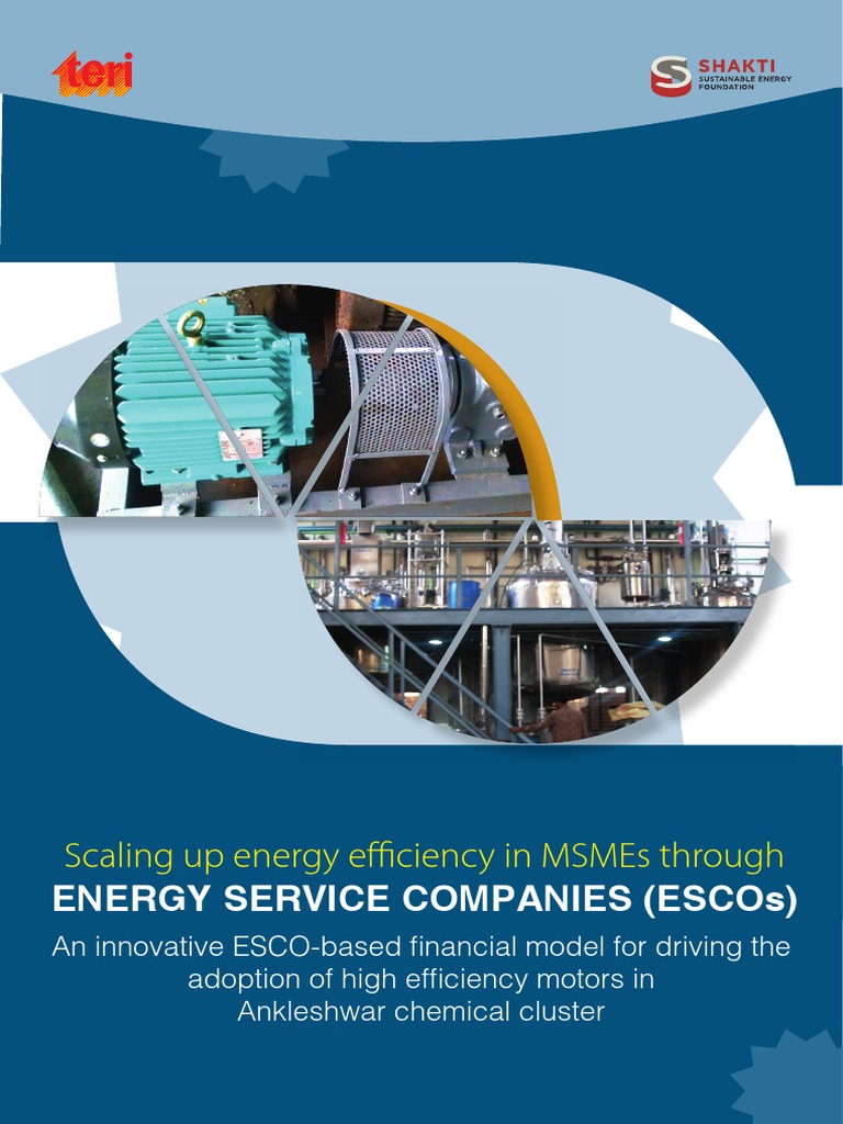 Scaling Up Energy Effi Ciency in Msmes Through Energy Service