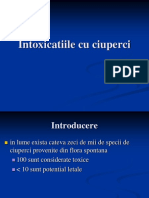 Ciuperci Paracetamol Nitriti