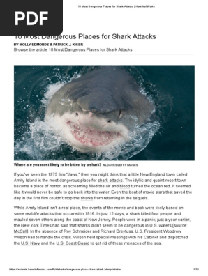 10 Most Dangerous Places for Shark Attacks _ HowStuffWorks