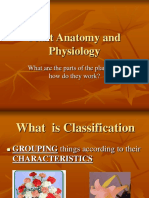 Plant Anatomy and Physiology: What Are The Parts of The Plant, and How Do They Work?