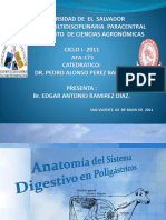 anatomiadelsistemadigestivodepoligastricos-110618222341-phpapp01.pptx