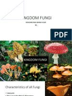 Kingdom Fungi: Bogdan Ana-Maria-Iulia 9G