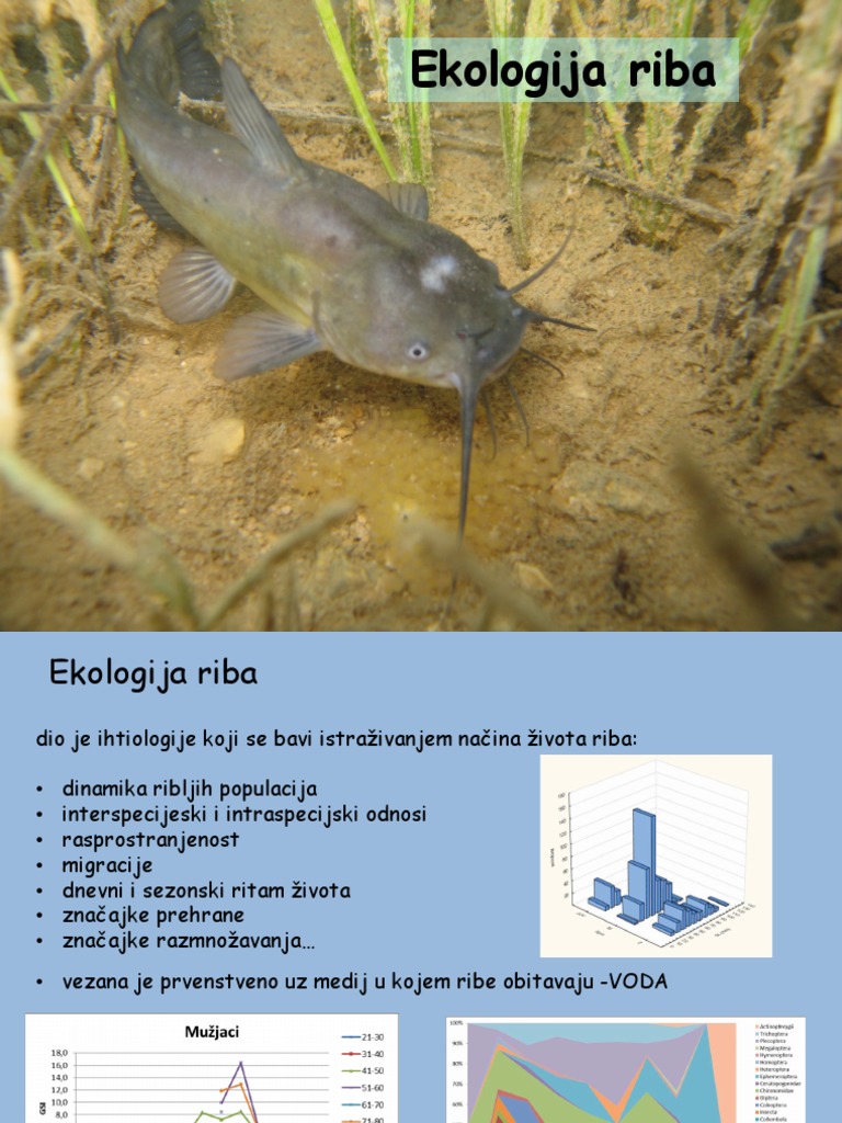 Ekologija Riba | PDF