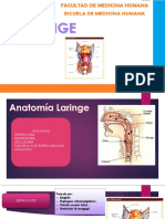 Patologías de La Laringe 