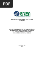 DISSERTAÇÃO_Impactos Ambientais Da Disposição de Resíduos Sólidos Urbanos No Solo e Na Água Superficial Em Três Municípios de Minas Gerais