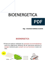 Bioenergetica PDF