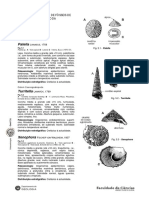 Identificação de fósseis de Gastropoda