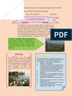 Infografia Lluvia Acida