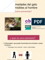 enfermedadesfelinastransmisibles-pdf-121214125347-phpapp01 (1).pdf
