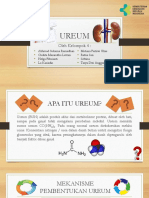 Ureum (PowerPoint)