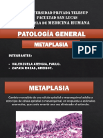 Tema 2 Metaplasia