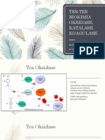 Tes Koagulase Katalase Oksidase