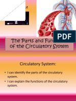 The Circulatory System