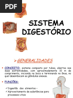 Sistema Digestório