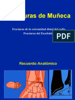  Muñeca - Fracturas