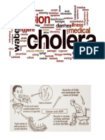 Apa Itu Cholera