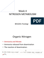 Week 4 Nitrogen Metabolism: BIS3201-Fisiologi