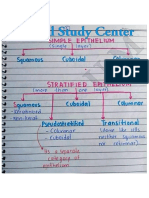 Epithelium Notes[Histology] by Medical Study Center