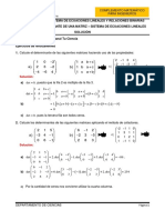 HT02SOL-Determinante y SEL