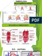 Sesion 3,Eco Corazon Fetal