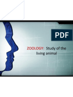 Introduction To Zoology