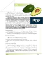 aguacate.pdf