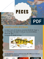 PECES