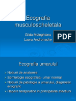 Ecografie Musculoscheletala PDF