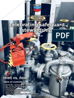 Celebrating Safeguard Stewardship: Then vs. Now