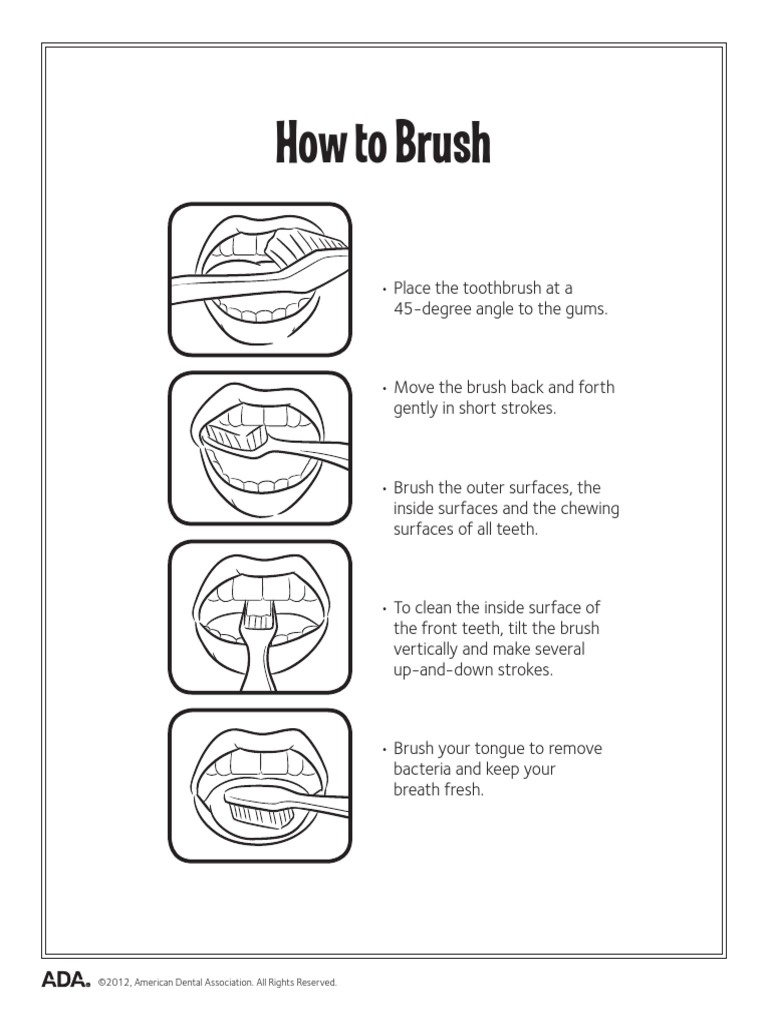 ADAHowToBrush Eng PDF | PDF | Career & Growth