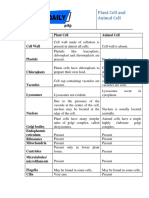 Plant Cell and Animal Cell