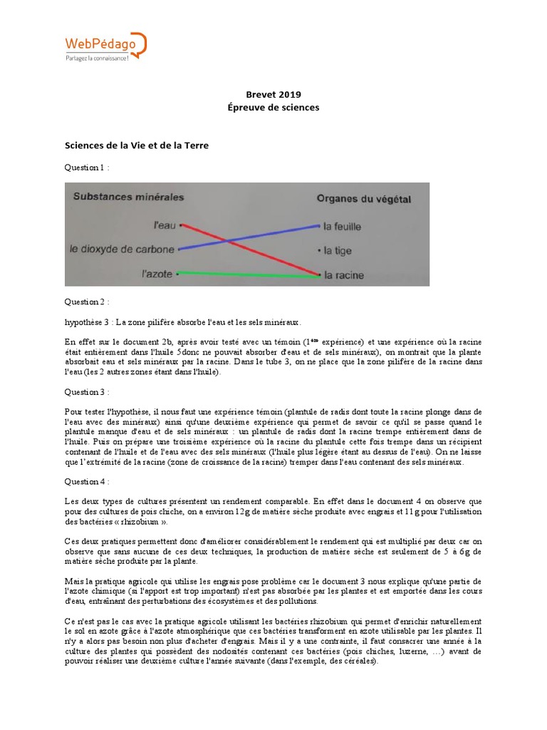 Sujet Brevet 2019 Physique-chimie Avec Corrigé Pdf