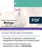 The Cell Cycle: Biology