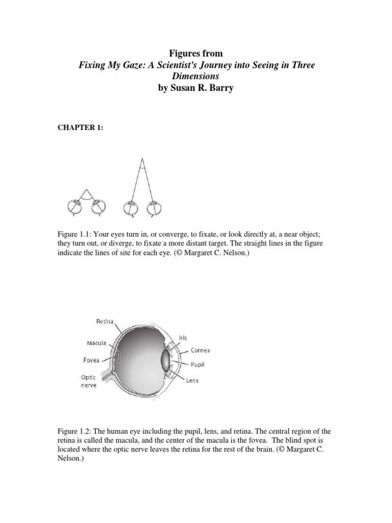 Figues For Fixing My Gaze PDF | PDF | Stereoscopy | Human Eye
