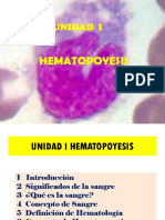 2019 1 - Hematopoyesis
