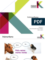 Polimorfismo.pdf