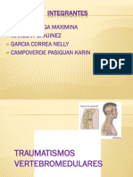 Traumatismo Vertebro Medular