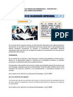 Contratos de Colaboracion Empresarial Consorcios