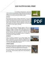 ANIMALES NATIVOS DEL PERU.docx