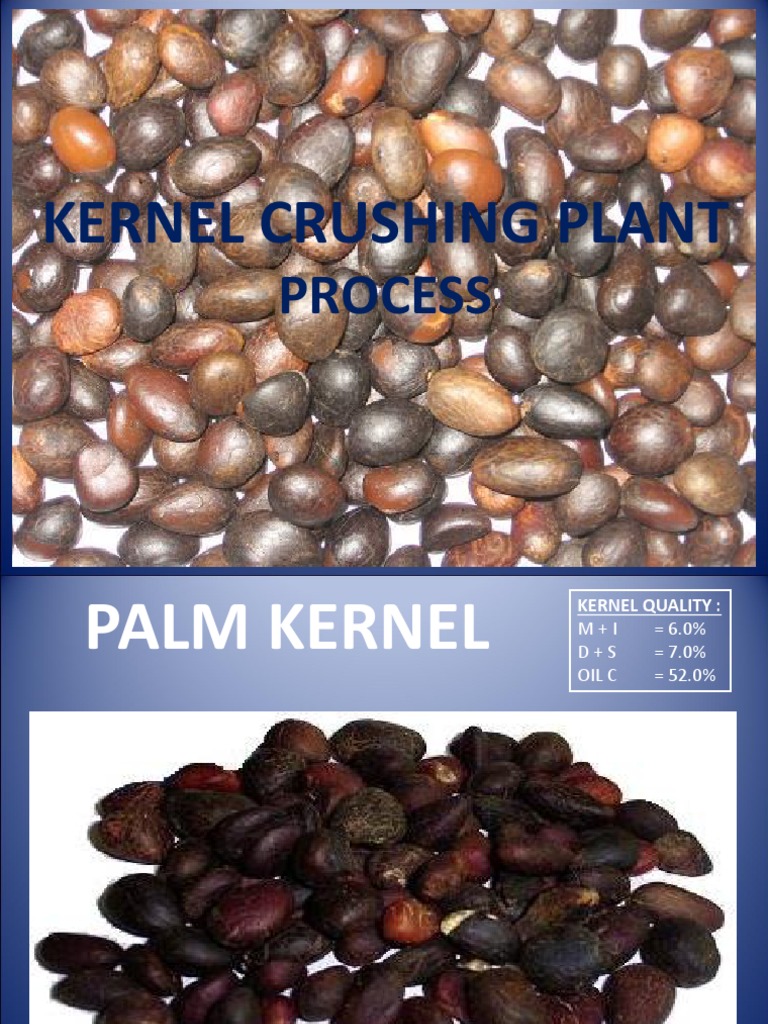 Kernel Crushing Plant Process Presentation PDF