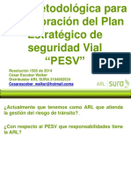 Roles Pesv