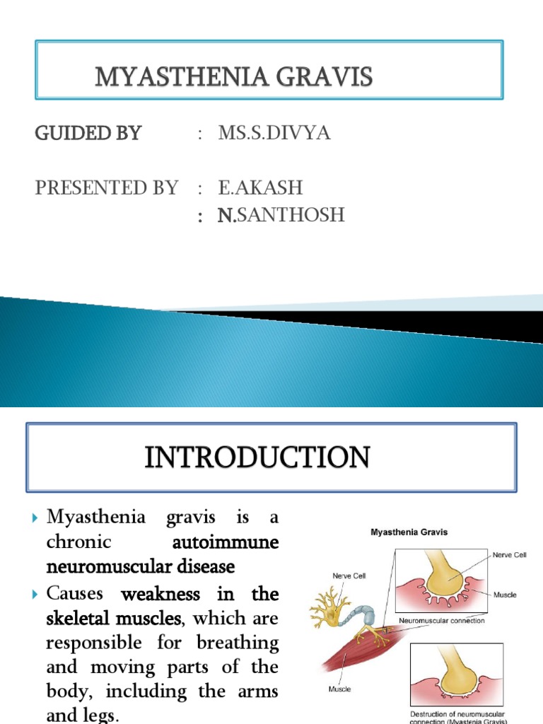 Myasthenia Gravis | PDF | Clinical Medicine | Human Anatomy