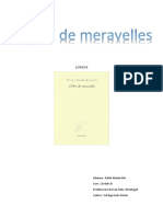 llibre de meravelles.docx