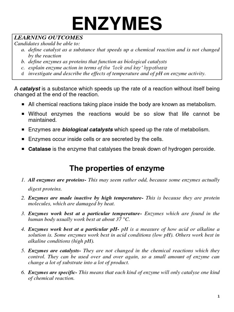 Enzymes | PDF | Active Site | Enzyme
