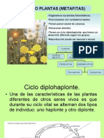 reinoplanta-091115143715-phpapp02