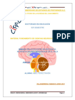 Neurociencia